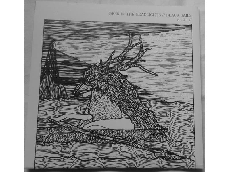 Deer In The Headlights / Black Sails — SPLIT 7 `