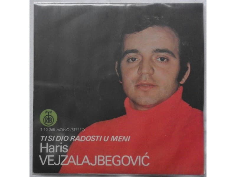 Haris Vejzalajbegovic — Ti si dio radosti u meni
