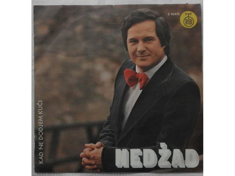 NEDZAD SALKOVIC — KAD NE DODJEM KUCI