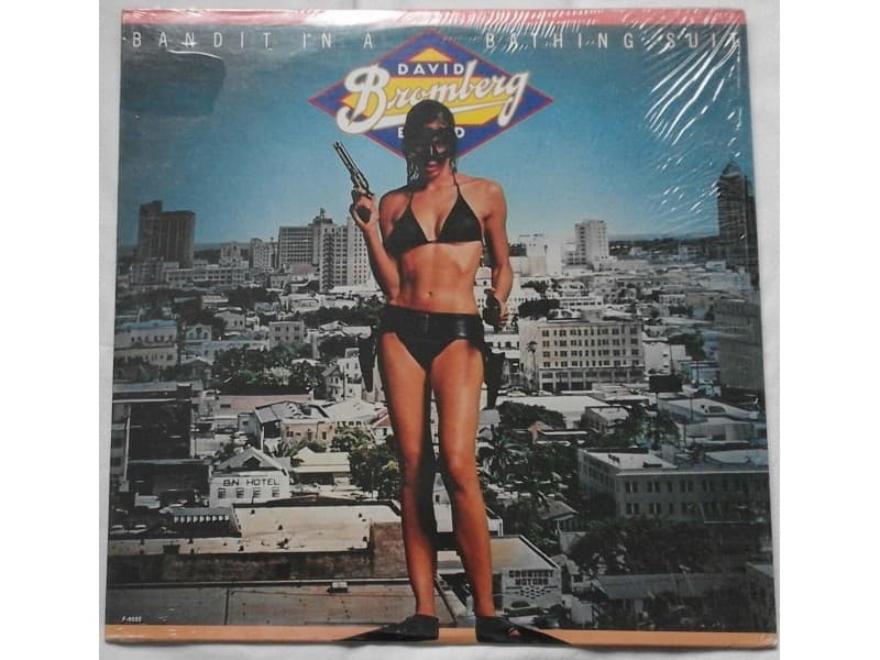 DAVID BROMBERG BAND — Bandit in a bathing suit