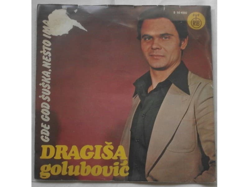 DRAGISA GOLUBOVIC — Gde god suska nesto ima