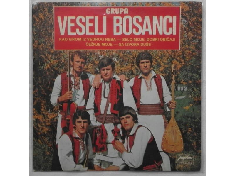 Grupa VESELI BOSANCI — Kao grom iz vedrog neba