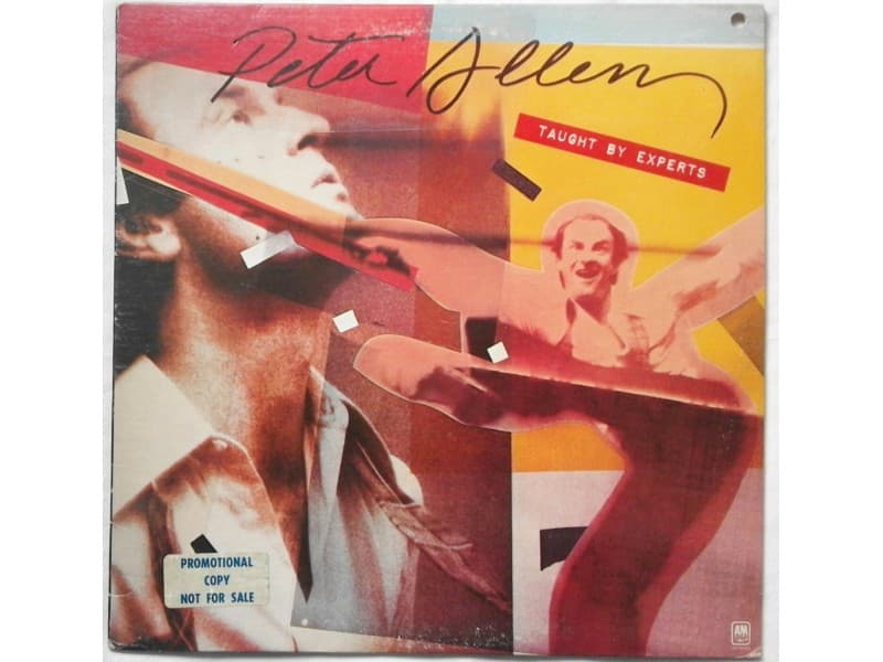 PETER ALLEN — TAUGHT BY EXPERTS