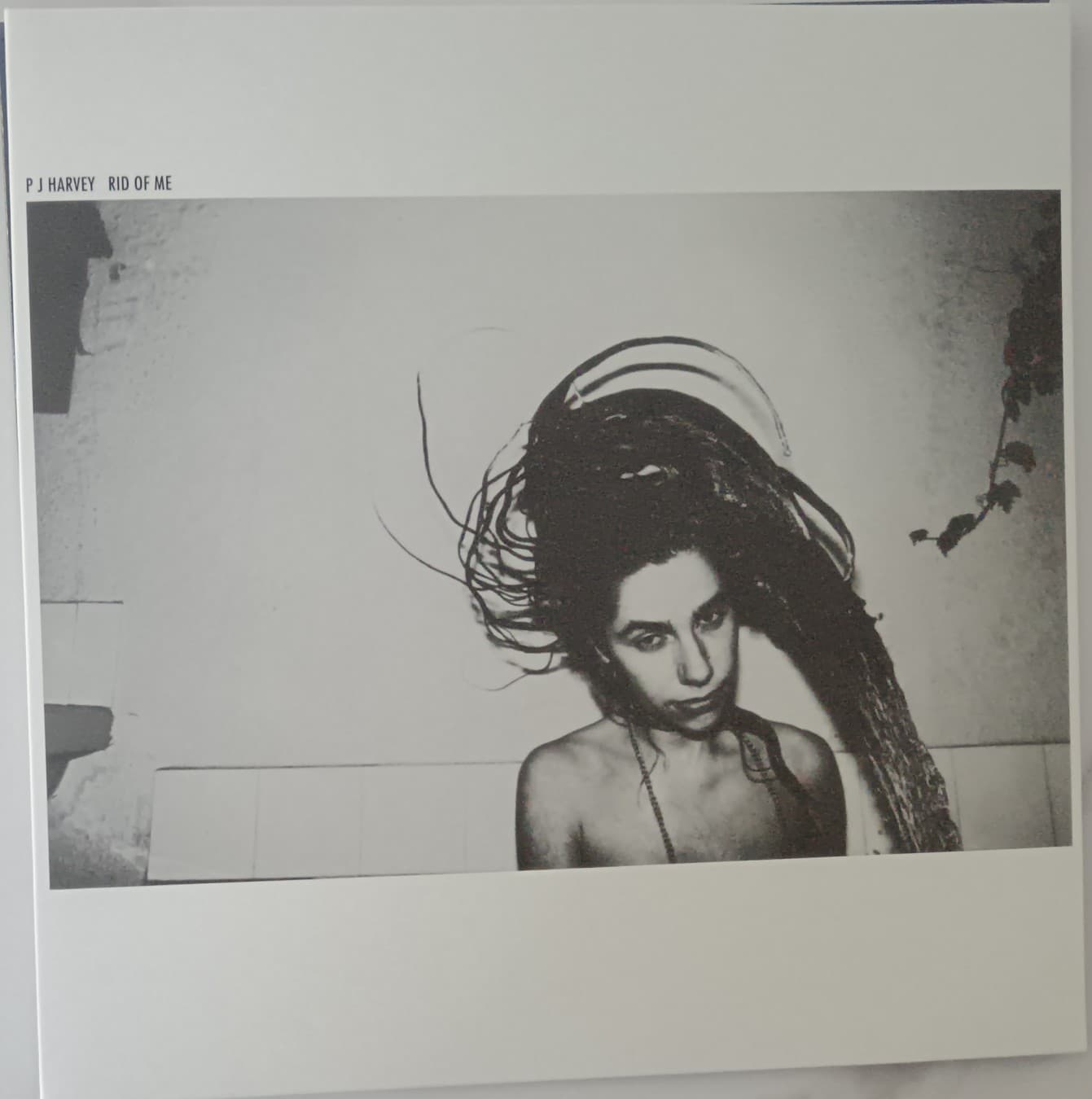 PJ HARVEY — RID OF ME