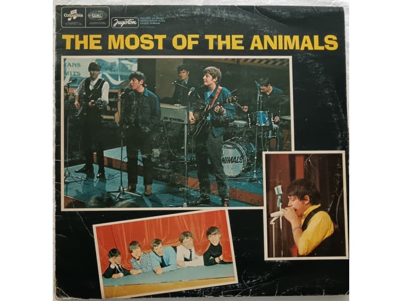 ANIMALS — THE MOST OF THE ANIMALS