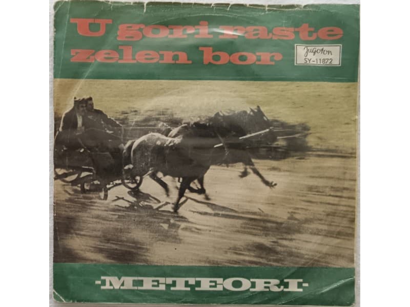 METEORI — U GORI RASTE ZELEN BOR