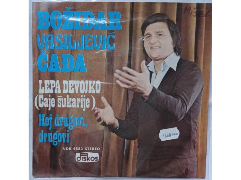 BOZIDAR VASILJEVIC CADJA — LEPA DEVOJKO